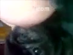 Small dark puppy licking and biting a bodacious non-professional MILFs bra buddies